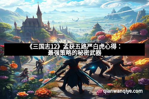 《三国志12》孟获五路严白虎心得：最强策略的秘密武器